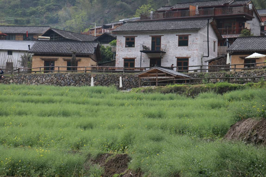 1523965053361086830.png 1523965053361086830.png